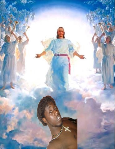 david